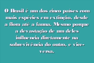 OB
rasil é um dos cinco países com
mais espécies em extinção, desde
a flora até a fauna. M
esmo porque
a devastação de um deles
influencia diretamente na
sobrevivência do outro, e viceversa.

 