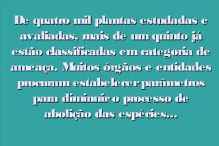 De quatro mil plantas estudadas e
avaliadas, mais de um quinto já
estão classificadas em categoria de
ameaça. M
uitos órgãos e entidades
procuram estabelecer parâmetros
para diminuir o processo de
abolição das espécies...

 