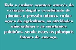 T
odo o embate acontece através da
extração ilegal e exorbitante de
plantas, a pressão urbana, várias
ações da agricultura, as atividades
mineradoras e as constantes
poluições, sendo estes os principais
fatores de ameaça.

 