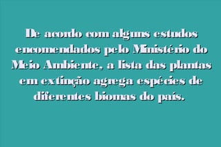 De acordo com alguns estudos
encomendados pelo M
inistério do
M Ambiente, a lista das plantas
eio
em extinção agrega espécies de
diferentes biomas do país.

 
