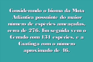 Considerando o bioma da M
ata
Atlântica possuinte do maior
número de espécies ameaçadas,
cerca de 276. E seguida vem o
m
Cerrado com 131 espécies, e a
Caatinga com o número
aproximado de 46.

 