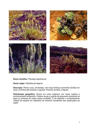 plantas-em-vias-de-extin-o-em-portugal-docx