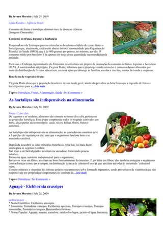 By Severo Moreira | July 29, 2009

Alana Gandra - Agência Brasil

Consumo de frutas e hortaliças diminui risco de doenças crônicas
[Imagem: Drmarathe]

Consumo de frutas, legumes e hortaliças

Pesquisadores da Embrapa querem estimular no brasileiro o hábito de comer frutas e
hortaliças que, atualmente, está muito abaixo do total recomendado pela Organização
Mundial da Saúde (OMS), que é de 400 gramas por pessoa, no mínimo, por dia. O
consumo médio por brasileiro é de apenas um terço dessa quantidade recomendada pela
entidade.

Para isso, a Embrapa Agroindústria de Alimentos desenvolveu um projeto de promoção do consumo de frutas, legumes e hortaliças
(FLV). A coordenadora do projeto, Virginia Matta, informou que o projeto pretende estimular o consumo desses alimentos por
meio da distribuição de livretos educativos, em uma ação que abrange as famílias, escolas e creches, pontos de venda e empresas.

Benefícios de vegetais e frutas

Virginia Matta disse que a população brasileira, de um modo geral, ainda não percebeu os benefícios que a ingestão de frutas e
hortaliças traz para a…leia mais

Topics: Hortaliças, Frutas, Alimentação, Saúde | No Comments »

As hortaliças são indispensáveis na alimentação
By Severo Moreira | July 28, 2009

Fonte: Cyber diet
Os legumes e as verduras, alimentos tão comuns no nosso dia a dia, pertencem
ao grupo das hortaliças. Este grupo compreende todos os vegetais cultivados em
horta, cujas partes são comestíveis: caule, raízes, folhas, flores, frutos e
sementes.

As hortaliças são indispensáveis na alimentação, as quais devem constituir de 4
a 5 porções de vegetais por dia, para que o organismo funcione bem e se
mantenha saudável.

Depois de descobrir os seus principais benefícios, você não vai mais fazer
careta para os vegetais. Confira:
São leves e de fácil digestão: auxiliam na saciedade, fornecendo poucas
calorias;
Fornecem água, nutriente indispensável para o organismo;
Por serem ricos em fibras, auxiliam no bom funcionamento do intestino. E por falar em fibras, elas também protegem o organismo
contra doenças como, por exemplo, na diminuição da taxa de colesterol total já que auxiliam na redução do temido “colesterol
ruim;
Contêm minerais e vitaminas (as últimas podem estar presentes sob a forma de pigmentos, sendo precursores de vitaminas) que são
responsáveis por propriedades importantes no combate de…leia mais

Topics: Hortaliças | No Comments »

Aguapé - Eichhornia crassipes
By Severo Moreira | July 28, 2009

jardineiro.net
* Nome Científico: Eichhornia crassipes
* Sinonímia: Pontederia crassipes, Eichhornia speciosa, Piaropus crassipes, Piaropus
mesomelas, Pontederia elongata, Heteranthera formosa
* Nome Popular: Aguapé, mururé, camalote, rainha-dos-lagos, jacinto-d’água, baroneza,
 