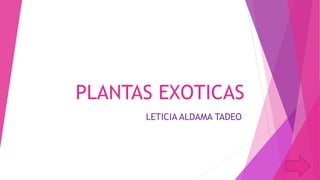 PLANTAS EXOTICAS
LETICIA ALDAMA TADEO
 