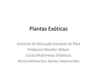 Plantas Exóticas

Instituto de Educação Estadual do Pará
       Professor:Wander Wilson
      Curso:Multimeios Didáticos
 Aluna:Helena Dos Santos Vasconcelos
 