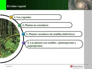 NATURA 1
El reino vegetal
4. Las plantas con semillas : gimnospermas y
angiospermas
3. Plantas vasculares sin semillas (inferiores)
2. Plantas no vasculares
1. Los vegetales
 