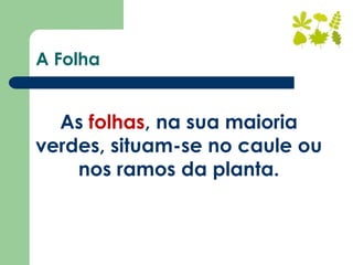 A Folha
As folhas, na sua maioria
verdes, situam-se no caule ou
nos ramos da planta.
 