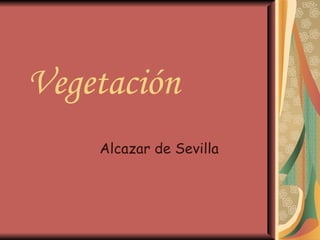 Vegetación  Alcazar de Sevilla 
