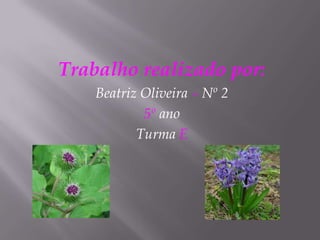 Trabalho realizado por:Beatriz Oliveira – Nº 25º anoTurma E
