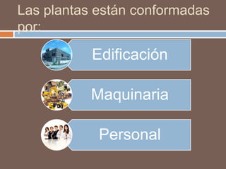 Las plantas están conformadas
por:
Edificación
Maquinaria
Personal
 