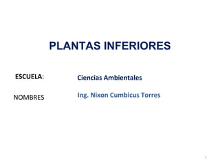 PLANTAS INFERIORES

ESCUELA:       Ciencias Ambientales

NOMBRES        Ing. Nixon Cumbicus Torres




                                            1
 