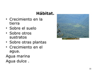 Hábitat.
• Crecimiento en la
  tierra
• Sobre el suelo
• Sobre otros
  sustratos
• Sobre otras plantas
• Crecimiento en el
  agua.
Agua marina
Agua dulce .
                          22
 