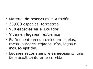 • Material de reserva es el Almidón
• 20,000 especies terrestres
• 950 especies en el Ecuador
• Viven en lugares extremos
• Es frecuente encontrarlos en suelos,
  rocas, paredes, tejados, ríos, lagos e
  incluso epifitos.
• Lugares secos siempre es necesario una
  fase acuática durante su vida

                                           23
 
