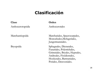 Clasificación

Clase                    Orden
Anthocerotopsida         Anthocerotales


Marchantiopsida          Marchatiales, Spaerocarpales,
                         Monocleales,Mefzgeriales,
                         Jungermanniales.
Bryopsida                Sphagnales, Dicranales,
                         Funariales, Polytrichales,
                         Grimniales, Bryales, Hypnales,
                         Andreales, Fissidentales,
                         Hookerales, Bartramiales,
                         Potiales, Dawsoniales.

                                                          26
 
