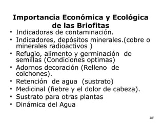 Importancia Económica y Ecológica
         de las Briofitas
• Indicadoras de contaminación.
• Indicadores, depósitos minerales.(cobre o
  minerales radioactivos )
• Refugio, alimento y germinación de
  semillas (Condiciones optimas)
• Adornos decoración (Relleno de
  colchones).
• Retención de agua (sustrato)
• Medicinal (fiebre y el dolor de cabeza).
• Sustrato para otras plantas
• Dinámica del Agua
                                          289
 