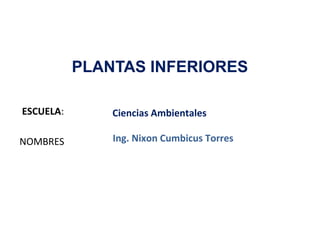 ESCUELA:
NOMBRES
PLANTAS INFERIORES
Ciencias Ambientales
Ing. Nixon Cumbicus Torres
 