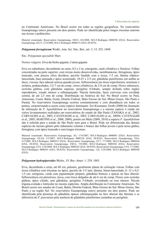 8 Descrições de espécies
Marcelo Pompêo. Monitoramento e manejo de macrófitas aquáticas em reservatórios tropicais brasileiros. 109$
no Continente Americano. No Brasil ocorre em todas as regiões geográficas. No reservatório
Guarapiranga esteve presente em dois pontos. Pode ser identificada pelos longos tricomas marrom
nas ócreas e pedúnculos.
Material examinado: Reservatório Guarapiranga, EM12, 8/6/2008, M.E.F.Rodrigues 0000396 (ESA). Reservatório
Guarapiranga, EG15, 12/4/2008, M.E.F.Rodrigues 0000513 (ESA, HUEFS).
Polygonum ferrugineum Wedd., Ann. Sci. Nat., Bot., sér. 3. 13: 252. 1849.
Sin.: Polygonum spectabile Mart.
Nomes vulgares: Erva-de-bicho-gigante, Cataia-gigante.
Erva ou subarbusto, decumbente ou ereto, 0,5 a 2 m, emergente, caule cilíndrico e fistuloso. Folhas
concentradas na parte superior, com ócreas muito desenvolvidas, membranáceas, ferrugíneas, ápice
truncado, com poucos cílios decíduos, pecíolo fundido com a ócrea, 1-2 cm, lâmina elíptico-
lanceolada, base atenuada e ápice acuminado, 10-25 x 2-5 cm, glândulas puntiformes em ambas as
faces, viscosa, face adaxial serícea quando jovem. Inflorescência em tirsos espiciformes, terminais e
axilares, pedunculados, 3,5-7 cm de comp., tirsos cilíndricos, de 2-8 cm de comp. Flores subsésseis,
ocréolas glabras, com glândulas esparsas, perigônio 4-lobado, sempre fechado sobre órgãos
reprodutores, rosado intenso a esbranquiçado. Núcula lenticular, faces convexas com cavidade
central, de até 2,5 mm de comp. Distribuição na América do Sul. No Brasil ocorre no Pará,
Amazonas, Ceará, Bahia, Goiás, Distrito Federal, Mato Grosso do Sul, Minas Gerais, São Paulo e
Paraná. No reservatório Guarapiranga ocorreu constantemente e com abundância em todos os
pontos, caracterizando-a assim como espécie dominante. Em Kissmann; Groth (2000) há ilustração
de infestação de P. lapathifolium no reservatório Guarapiranga e a mesma espécie é citada em
vários levantamentos realizados em reservatórios do estado de São Paulo (TANAKA et al., 2002;
CARVALHO et al., 2003; CAVENAGHI et al., 2003; CARVALHO et al., 2005b; CAVENAGHI
et al., 2005; MARTINS et al., 2008, 2009), porém em Melo (2009, 2010) a espécie P. lapathifolium
não é referida para o estado de São Paulo nem para o Brasil. Pode ser diferenciada das demais
espécies do mesmo gênero pelo indumento velutino e branco das folhas jovens e pela ócrea glabra,
ferrugínea, com ápice truncado e sem longos tricomas.
Material examinado: Reservatório Guarapiranga, 3G, 1/19/2007, M.E.F.Rodrigues 0000083 (ESA). Reservatório
Guarapiranga, GUA4, 5/3/2007, M.E.F.Rodrigues 0000126 (ESA, HUEFS). Reservatório Guarapiranga, PA4,
4/7/2009, M.E.F.Rodrigues 0000553 (ESA). Reservatório Guarapiranga, CC7, 7/7/2008, M.E.F.Rodrigues 0000364
(ESA, HUEFS). Reservatório Guarapiranga, EM14, 7/8/2008, M.E.F.Rodrigues 0000368 (ESA). Reservatório
Guarapiranga, CC6, 5/29/2008, M.E.F.Rodrigues 0000342 (ESA, HUEFS). Reservatório Guarapiranga, CC6, 7/7/2008,
M.E.F.Rodrigues 0000363 (ESA, HUEFS). Reservatório Guarapiranga, 124, 5/29/2008, M.E.F.Rodrigues 0000340
(ESA).
Polygonum hydropiperoides Michx., Fl. Bor.-Amer. 1: 239. 1803.
Erva, decumbente a ereta, até 60 cm, palustre, geralmente planta de coloração vinosa. Folhas com
ócrea cilíndrica com tricomas no ápice, pecíolo de 3-5 mm, lâmina, linear-lanceolada, 4- 12 x 0,5-
1,5 cm, estrigosas, verde com pigmentação púrpura, glândulas brancas e opacas na face abaxial.
Inflorescência em pleiotirsos, laxos, com tirsos delgados de até 6 cm de comp. Flores com ocréolas
glabras, ápice ciliado, sem glândulas, perigônio 5-lobado, esverdeado ou rosa intenso. Núcula
trígona-ovalada e lenticular no mesmo espécime. Ampla distribuição no Continente Americano. No
Brasil ocorre nos estados do Ceará, Bahia, Distrito Federal, Mato Grosso do Sul, Minas Gerais, São
Paulo e na região Sul. No reservatório Guarapiranga esteve presente em dois pontos. Pode ser
identificada pela presença de glândulas opacas esbranquiçadas na face abaxial das lâminas e se
diferencia de P. punctatum pela ausência de glândulas puntiformes castanhas no perigônio.
 