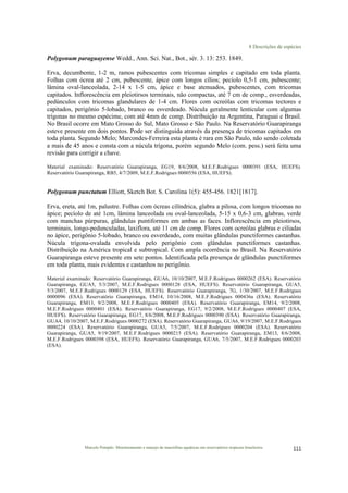 8 Descrições de espécies
Marcelo Pompêo. Monitoramento e manejo de macrófitas aquáticas em reservatórios tropicais brasileiros. 111$
Polygonum paraguayense Wedd., Ann. Sci. Nat., Bot., sér. 3. 13: 253. 1849.
Erva, decumbente, 1-2 m, ramos pubescentes com tricomas simples e capitado em toda planta.
Folhas com ócrea até 2 cm, pubescente, ápice com longos cílios; pecíolo 0,5-1 cm, pubescente;
lâmina oval-lanceolada, 2-14 x 1-5 cm, ápice e base atenuados, pubescentes, com tricomas
capitados. Inflorescência em pleiotirsos terminais, não compactas, até 7 cm de comp., esverdeadas,
pedúnculos com tricomas glandulares de 1-4 cm. Flores com ocreólas com tricomas tectores e
capitados, perigônio 5-lobado, branco ou esverdeado. Núcula geralmente lenticular com algumas
trígonas no mesmo espécime, com até 4mm de comp. Distribuição na Argentina, Paraguai e Brasil.
No Brasil ocorre em Mato Grosso do Sul, Mato Grosso e São Paulo. Na Reservatório Guarapiranga
esteve presente em dois pontos. Pode ser distinguida através da presença de tricomas capitados em
toda planta. Segundo Melo; Marcondes-Ferreira esta planta é rara em São Paulo, não sendo coletada
a mais de 45 anos e consta com a núcula trígona, porém segundo Melo (com. pess.) será feita uma
revisão para corrigir a chave.
Material examinado: Reservatório Guarapiranga, EG19, 8/6/2008, M.E.F.Rodrigues 0000391 (ESA, HUEFS).
Reservatório Guarapiranga, RB5, 4/7/2009, M.E.F.Rodrigues 0000556 (ESA, HUEFS).
Polygonum punctatum Elliott, Sketch Bot. S. Carolina 1(5): 455-456. 1821[1817].
Erva, ereta, até 1m, palustre. Folhas com ócreas cilíndrica, glabra a pilosa, com longos tricomas no
ápice; pecíolo de até 1cm, lâmina lanceolada ou oval-lanceolada, 5-15 x 0,6-3 cm, glabras, verde
com manchas púrpuras, glândulas puntiformes em ambas as faces. Inflorescência em pleiotirsos,
terminais, longo-pedunculadas, laxiflora, até 11 cm de comp. Flores com ocreólas glabras e ciliadas
no ápice, perigônio 5-lobado, branco ou esverdeado, com muitas glândulas punctiformes castanhas.
Núcula trígona-ovalada envolvida pelo perigônio com glândulas punctiformes castanhas.
Distribuição na América tropical e subtropical. Com ampla ocorrência no Brasil. Na Reservatório
Guarapiranga esteve presente em sete pontos. Identificada pela presença de glândulas punctiformes
em toda planta, mais evidentes e castanhos no perigônio.
Material examinado: Reservatório Guarapiranga, GUA6, 10/10/2007, M.E.F.Rodrigues 0000262 (ESA). Reservatório
Guarapiranga, GUA5, 5/3/2007, M.E.F.Rodrigues 0000128 (ESA, HUEFS). Reservatório Guarapiranga, GUA5,
5/3/2007, M.E.F.Rodrigues 0000129 (ESA, HUEFS). Reservatório Guarapiranga, 7G, 1/30/2007, M.E.F.Rodrigues
0000096 (ESA). Reservatório Guarapiranga, EM14, 10/16/2008, M.E.F.Rodrigues 000436a (ESA). Reservatório
Guarapiranga, EM13, 9/2/2008, M.E.F.Rodrigues 0000405 (ESA). Reservatório Guarapiranga, EM14, 9/2/2008,
M.E.F.Rodrigues 0000401 (ESA). Reservatório Guarapiranga, EG17, 9/2/2008, M.E.F.Rodrigues 0000407 (ESA,
HUEFS). Reservatório Guarapiranga, EG17, 8/6/2008, M.E.F.Rodrigues 0000390 (ESA). Reservatório Guarapiranga,
GUA4, 10/10/2007, M.E.F.Rodrigues 0000272 (ESA). Reservatório Guarapiranga, GUA6, 9/19/2007, M.E.F.Rodrigues
0000224 (ESA). Reservatório Guarapiranga, GUA5, 7/5/2007, M.E.F.Rodrigues 0000204 (ESA). Reservatório
Guarapiranga, GUA5, 9/19/2007, M.E.F.Rodrigues 0000215 (ESA). Reservatório Guarapiranga, EM13, 8/6/2008,
M.E.F.Rodrigues 0000398 (ESA, HUEFS). Reservatório Guarapiranga, GUA6, 7/5/2007, M.E.F.Rodrigues 0000203
(ESA).
 
