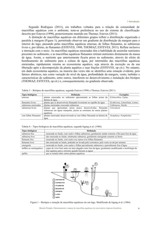 1 Introdução
Marcelo Pompêo, Monitoramento e manejo de macrófitas aquáticas em reservatórios tropicais brasileiros. 6
Segundo Rodrigues (2011), em trabalhos voltados para a relação da comunidade de
macrófitas aquáticas com o ambiente, nota-se preferência no uso do sistema de classificação
descrito por Esteves (1998), posteriormente mantido em Thomaz; Esteves (2011).
A distinção de macrófitas aquáticas em diferentes grupos reflete a distribuição organizada e
paralela à margem (Figura 1), permitindo observar um gradiente de distribuição da margem para o
interior do lago, passando pelas macrófitas aquáticas emersas, de folhas flutuantes, às submersas
livres e, por último, às flutuantes (ESTEVES, 1998; THOMAZ; ESTEVES, 2011). Reflete inclusive
a interação com o meio. As macrófitas aquáticas enraizadas têm a habilidade de assimilar nutrientes
presentes no sedimento, e as macrófitas aquáticas flutuantes retiram nutrientes diretamente da massa
de água. Assim, o nutriente que anteriormente ficaria preso no sedimento, através do efeito de
bombeamento do sedimento para a coluna de água, por intermédio das macrófitas aquáticas
enraizadas, rapidamente retorna ao ecossistema aquático, seja através da excreção ou da sua
liberação após a decomposição da planta aquática e suas frações (ESTEVES, op cit.). No entanto,
em dado ecossistema aquático, na maioria das vezes não se identifica uma zonação evidente, pois
fatores abióticos, tais como variação do nível da água, profundidade da margem, vento, turbidez e
características do sedimento, entre outros, interferem no desenvolvimento e instalação dos biotipos
(THOMAZ; ESTEVES, op cit.) e, consequentemente, no gradiente observado.
Tabela 3 – Biótipos de macrófitas aquáticas, segundo Esteves (1998) e Thomaz; Esteves (2011).
Tipos biológicos Definição Exemplos
emersas plantas enraizadas no sedimento apresentando as folhas acima da
lâmina de água
Echinochloa, Typha,
flutuantes livres plantas que se desenvolvem flutuando livremente no espelho de água Eichhornia, Limnobium, Lemna
submersas enraizadas plantas enraizadas crescendo submersas Vallisneria, Nitella
submersas livres plantas que apresentam raízes pouco desenvolvidas, flutuando
submersas em águas tranquilas, presas as estruturas de outras plantas
aquáticas
Utricularia
com folhas flutuantes plantas enraizadas desenvolvendo-se com folhas flutuando na lâmina de
água
Nymphaea, Nymphoides
Tabela 4 – Tipos biológicos de macrófitas aquáticas, segundo Irgang et al. (1984).
Tipos biológicos Definição
submersa fixa enraizada no fundo, com caule e folhas submersos, geralmente saindo somente a flor para fora da água
submersa livre não enraizada no fundo, totalmente submersa, geralmente emergindo somente as flores
flutuante fixa enraizada no fundo, com caule e/ou ramos e/ou folhas flutuantes
flutuante livre não enraizada no fundo, podendo ser levada pela correnteza, pelo vento ou até por animais
emergente enraizada no fundo, com caules e folhas parcialmente submersos e parcialmente fora d’água
anfíbia ou semiaquática capaz de viver bem tanto em área alagada como fora da água, geralmente modificando a morfologia da
fase aquática para a terrestre quando baixam as águas
epífita que se instala sobre outras plantas aquáticas
Figura 1 – Biotipos e zonação de macrófitas aquáticas em um lago. Modificado de Irgang et al. (1984).
 