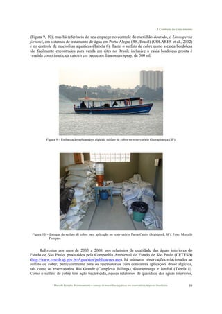 3 Controle do crescimento
Marcelo Pompêo. Monitoramento e manejo de macrófitas aquáticas em reservatórios tropicais brasileiros. 39
(Figura 9, 10), mas há referência do seu emprego no controle do mexilhão-dourado, o Limnoperna
fortunei, em sistemas de tratamento de água em Porto Alegre (RS, Brasil) (COLARES et al., 2002)
e no controle de macrófitas aquáticas (Tabela 6). Tanto o sulfato de cobre como a calda bordolesa
são facilmente encontrados para venda em sites no Brasil; inclusive a calda bordolesa pronta é
vendida como inseticida caseiro em pequenos frascos em spray, de 500 ml.
Figura 9 – Embarcação aplicando o algicida sulfato de cobre no reservatório Guarapiranga (SP).
Figura 10 – Estoque de sulfato de cobre para aplicação no reservatório Paiva Castro (Mairiporã, SP). Foto: Marcelo
Pompêo.
Referentes aos anos de 2005 a 2008, nos relatórios de qualidade das águas interiores do
Estado de São Paulo, produzidos pela Companhia Ambiental do Estado de São Paulo (CETESB)
(http://www.cetesb.sp.gov.br/Agua/rios/publicacoes.asp), há inúmeras observações relacionadas ao
sulfato de cobre, particularmente para os reservatórios com constantes aplicações desse algicida,
tais como os reservatórios Rio Grande (Complexo Billings), Guarapiranga e Jundiaí (Tabela 8).
Como o sulfato de cobre tem ação bactericida, nesses relatórios de qualidade das águas interiores,
 