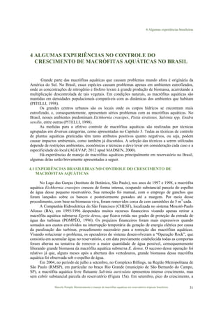 4 Algumas experiências brasileiras
Marcelo Pompêo Monitoramento e manejo de macrófitas aquáticas em reservatórios tropicais brasileiros. 51
4 ALGUMAS EXPERIÊNCIAS NO CONTROLE DO
CRESCIMENTO DE MACRÓFITAS AQUÁTICAS NO BRASIL
Grande parte das macrófitas aquáticas que causam problemas mundo afora é originária da
América do Sul. No Brasil, essas espécies causam problemas apenas em ambientes eutrofizados,
onde as concentrações de nitrogênio e fósforo levam à grande produção de biomassa, acarretando a
multiplicação descontrolada de tais vegetais. Em condições naturais, as macrófitas aquáticas são
mantidas em densidades populacionais compatíveis com as dinâmicas dos ambientes que habitam
(PITELLI, 1998).
Os grandes centros urbanos são os locais onde os corpos hídricos se encontram mais
eutrofizado, e, consequentemente, apresentam sérios problemas com as macrófitas aquáticas. No
Brasil, nesses ambientes predominam Eichhornia crassipes, Pistia stratiotes, Salvinia spp, Enidra
sessilis, entre outras (PITELLI, 1998).
As medidas para o efetivo controle de macrófitas aquáticas são realizadas por técnicas
agrupadas em diversas categorias, como apresentadas no Capítulo 3. Todas as técnicas de controle
de plantas aquáticas praticadas têm tanto atributos positivos quanto negativos, ou seja, podem
causar impactos ambientais, como também já discutidos. A seleção das técnicas a serem utilizadas
depende de restrições ambientais, econômicas e técnicas e deve levar em consideração cada caso e a
especificidade do local (AGEVAP, 2012 apud MADSEN, 2000).
Há experiências de manejo de macrófitas aquáticas principalmente em reservatório no Brasil,
algumas delas serão brevemente apresentadas a seguir.
4.1 EXPERIÊNCIAS BRASILEIRAS NO CONTROLE DO CRESCIMENTO DE
MACRÓFITAS AQUÁTICAS
No Lago das Garças (Instituto de Botânica, São Paulo), nos anos de 1997 e 1998, a macrófita
aquática Eichhornia crassipes cresceu de forma intensa, ocupando substancial parcela do espelho
de água desse pequeno reservatório. Sua remoção foi manual, com o emprego de ganchos que
foram lançados sobre os bancos e posteriormente puxados até a margem. Por meio desse
procedimento, com base na biomassa viva, foram removidos cerca de cem caminhões de 5 m3
cada.
A Companhia Hidroelétrica do São Francisco (CHESF), localizada no sistema Moxotó-Paulo
Afonso (BA), em 1995/1996 despendeu muitos recursos financeiros visando apenas retirar a
macrófita aquática submersa Egeria densa, que ficava retida nas grades de proteção da entrada de
água das turbinas (POMPÊO, 1996). Os prejuízos financeiros foram mais expressivos quando
somados aos custos envolvidos na interrupção temporária da geração de energia elétrica por causa
da paralisação das turbinas, procedimento necessário para a remoção das macrófitas aquáticas.
Visando solucionar o problema, os operadores do sistema desenvolveram a “Operação Rock”, que
consistiu em acumular água no reservatório, e em data previamente estabelecida todas as comportas
foram abertas na tentativa de remover a maior quantidade de água possível, consequentemente
liberando grande biomassa da macrófita aquática submersa E. densa. O sucesso dessa operação foi
relativo já que, alguns meses após a abertura dos vertedouros, grande biomassa dessa macrófita
aquática foi observada sob o espelho de água.
Em 2004, no período de julho a setembro, no Complexo Billings, na Região Metropolitana de
São Paulo (RMSP), em particular no braço Rio Grande (município de São Bernardo do Campo,
SP), a macrófita aquática livre flutuante Salvinia auriculata apresentou intenso crescimento, mas
sem cobrir substancial parcela do reservatório (Figura 15a). Em setembro, pico do crescimento, a
 