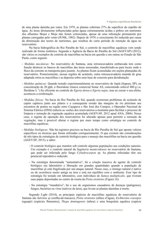 4 Algumas experiências brasileiras
Marcelo Pompêo Monitoramento e manejo de macrófitas aquáticas em reservatórios tropicais brasileiros. 54
de uma planta daninha por outra. Em 1979, as plantas cobriram 27% da superfície do espelho de
água. As áreas diretamente influenciadas pelas águas extremamente ácidas e pobres em nutrientes
dos afluentes Mojuí e Moju não foram colonizadas, apesar de uma infestação permanente por
plantas carregadas pelo vento (JUNK, 1982). Depois de 1979, o crescimento foi reduzido por causa
da diminuição dos teores de nutrientes, que resultou do curto período de retenção da água no
reservatório.
Na bacia hidrográfica do Rio Paraíba do Sul, o controle de macrófitas aquáticas vem sendo
realizado de forma sistêmica. Segundo a Agência da Bacia do Paraíba do Sul (AGEVAP) (2012),
são vários os exemplos de controle de macrófitas na bacia em questão e em outras no Estado de São
Paulo, como seguem:
- Medidas mecânicas: No reservatório de Santana, uma retroescavadeira embarcada tem como
função deslocar os bancos de macrófitas das áreas assoreadas, transferindo-as para locais onde o
fluxo da corrente as transporta para jusante. As plantas ficam acumuladas em seções planejadas do
reservatório. Posteriormente, nessas regiões de acúmulo, outra retroescavadeira munida de grua
adaptada retira as macrófitas e as deposita sobre uma base de concreto para desidratação.
- Medidas químicas: Quando testado experimentalmente no reservatório de Jupiá (Itapura, SP), na
concentração de 20 ppb, o fluoridone (marca comercial Sonar AS, concentrado solúvel 480 g i.a.
fluridone L-1
) foi eficiente no controle de Egeria densa e Egeria najas, mas ao cessar o seu efeito,
aconteceu a reinfestação.
- Medidas físicas: Na bacia do Rio Paraíba do Sul, quando ocorreram problemas de acúmulo de
capim capituva junto aos pilares e a consequente erosão das margens do rio próximas aos
encontros de pontes na região entre Caçapava e São José dos Campos, o Operador Nacional de
Sistema Elétrico (ONS) reduziu as vazões dos reservatórios a montante para facilitar o processo de
limpeza e remoção da vegetação aquática acumulada (AGEVAP, 2012 apud ANA, 2006). Nesse
caso, o regime de operação dos reservatórios foi alterado apenas para permitir a remoção da
vegetação, mas é possível alterar o regime por mais tempo como estratégia no controle de
macrófitas aquáticas.
- Medidas biológicas: Não há registros precisos na bacia do Rio Paraíba do Sul que aponte valores
específicos ou técnicas que foram utilizadas corriqueiramente. O que existem são considerações
de três tipos de estratégias de controle biológico para o manejo das macrófitas na bacia em questão
(AGEVAP, 2015), a saber:
- O controle biológico que mantém sob controle algumas populações nas condições naturais.
Um exemplo é o controle natural da Sagittaria montevidensis no reservatório de Santana,
que pode ser infectada pelo fungo Cylindrocarpon sp. As plantas infectadas têm seu
potencial reprodutivo reduzido.
- Na estratégia denominada “aumentativa”, há a criação massiva do agente de controle
biológico em laboratório e liberação em grandes quantidades quando a população de
macrófitas já está fragilizada por um ataque natural. Nesse caso, o inimigo natural é nativo
ou de ocorrência muito antiga na área e está em equilibro com o ambiente. Esse tipo de
estratégia foi testado em laboratório, com indivíduos de Samea multiplicalis, que tiveram
suas pupas depositadas no centro da roseta da Pistia stratiotes (Figura 16).
- Na estratégia “inundativa”, há o uso de organismos causadores de doenças (patógenos),
fungos, bactérias ou vírus (nativos da área), que levam as plantas daninhas à morte.
Segundo Light (2014), as principais espécies de macrófitas aquáticas do reservatório de
Santana são Salvinia sp (orelha-de-macaco), Pistia stratiotes (alface d’água), Eichhornia crassipes
(aguapé) (espécies flutuantes); Thypa domingensis (taboa) e uma braquiária aquática (espécie
 