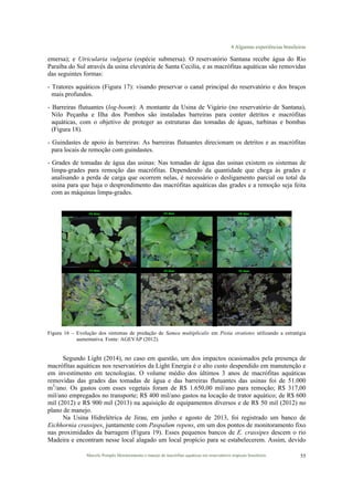 4 Algumas experiências brasileiras
Marcelo Pompêo Monitoramento e manejo de macrófitas aquáticas em reservatórios tropicais brasileiros. 55
emersa); e Utricularia vulgaria (espécie submersa). O reservatório Santana recebe água do Rio
Paraíba do Sul através da usina elevatória de Santa Cecilia, e as macrófitas aquáticas são removidas
das seguintes formas:
- Tratores aquáticos (Figura 17): visando preservar o canal principal do reservatório e dos braços
mais profundos.
- Barreiras flutuantes (log-boom): A montante da Usina de Vigário (no reservatório de Santana),
Nilo Peçanha e Ilha dos Pombos são instaladas barreiras para conter detritos e macrófitas
aquáticas, com o objetivo de proteger as estruturas das tomadas de águas, turbinas e bombas
(Figura 18).
- Guindastes de apoio às barreiras: As barreiras flutuantes direcionam os detritos e as macrófitas
para locais de remoção com guindastes.
- Grades de tomadas de água das usinas: Nas tomadas de água das usinas existem os sistemas de
limpa-grades para remoção das macrófitas. Dependendo da quantidade que chega às grades e
analisando a perda de carga que ocorrem nelas, é necessário o desligamento parcial ou total da
usina para que haja o desprendimento das macrófitas aquáticas das grades e a remoção seja feita
com as máquinas limpa-grades.
Figura 16 – Evolução dos sintomas de predação de Samea multiplicalis em Pistia stratiotes utilizando a estratégia
aumentativa. Fonte: AGEVAP (2012).
Segundo Light (2014), no caso em questão, um dos impactos ocasionados pela presença de
macrófitas aquáticas nos reservatórios da Light Energia é o alto custo despendido em manutenção e
em investimento em tecnologias. O volume médio dos últimos 3 anos de macrófitas aquáticas
removidas das grades das tomadas de água e das barreiras flutuantes das usinas foi de 51.000
m3
/ano. Os gastos com esses vegetais foram de R$ 1.650,00 mil/ano para remoção; R$ 317,00
mil/ano empregados no transporte; R$ 400 mil/ano gastos na locação de trator aquático; de R$ 600
mil (2012) e R$ 900 mil (2013) na aquisição de equipamentos diversos e de R$ 50 mil (2012) no
plano de manejo.
Na Usina Hidrelétrica de Jirau, em junho e agosto de 2013, foi registrado um banco de
Eichhornia crassipes, juntamente com Paspalum repens, em um dos pontos de monitoramento fixo
nas proximidades da barragem (Figura 19). Esses pequenos bancos de E. crassipes descem o rio
Madeira e encontram nesse local alagado um local propício para se estabelecerem. Assim, devido
 