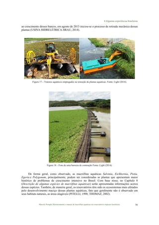 4 Algumas experiências brasileiras
Marcelo Pompêo Monitoramento e manejo de macrófitas aquáticas em reservatórios tropicais brasileiros. 56
ao crescimento desses bancos, em agosto de 2013 iniciou-se o processo de retirada mecânica dessas
plantas (USINA HIDRELÉTRICA JIRAU, 2014).
Figura 17 – Tratores aquáticos empregados na remoção de plantas aquáticas. Fonte: Light (2014).
Figura 18 – Foto de uma barreira de contenção Fonte: Light (2014).
De forma geral, como observado, as macrófitas aquáticas Salvinia, Eichhornia, Pistia,
Egeria e Polygonum, principalmente, podem ser consideradas as plantas que apresentam maior
histórico de problemas de crescimento intensivo no Brasil. Com base nisso, no Capítulo 8
(Descrição de algumas espécies de macrófitas aquáticas) serão apresentadas informações acerca
dessas espécies. Também, de maneira geral, os reservatórios têm sido os ecossistemas mais afetados
pelo desenvolvimento maciço dessas plantas aquáticas, fato que geralmente não é observado em
seus habitats naturais, as áreas alagáveis (PITELLI, 1998; THOMAZ, 2002).
 