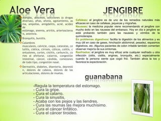  Alergias, abscesos, adicciones (a drogas
  diversas), aftas, afonía, agotamiento, as         Cefaleas: el jengibre es de uno de los remedios naturales más
  ma, ampollas, amigdalitis, acné, acidez           eficaces en caso de cefaleas, jaquecas y migrañas.
  de                                                Nauseas: la medicina popular viene recomendando el jengibre con
  estómago, anemia, artritis, arterioscleros        mucho éxito en las nauseas del embarazo. Hoy en día e jengibre se
  is, anorexia.                                     está probando también para las nauseas y vómitos de la
                                                    quimioterapia.
 Bronquitis, bursitis.                             En problemas digestivos: facilita la digestión de los alimentos y es
 Calambres                                         muy útil en caso de gases, hinchazón abdominal, pesadez, espasmos
  musculares, calvicie, caspa, cataratas, ce        digestivos, etc. Algunos pacientes de colon irritable también comentan
  lulitis, ciática, cirrosis, cólicos, colitis, c   observar mejoría de sus síntomas.
  ontusiones, cortes, cistitis, carbunclo, co       Resfriados: el jengibre es muy eficaz ante cualquier resfriado u otra
  rtes al afeitarse, catarros, congestión           infección (otitis, cistitis, anginas, bronquitis, etc.) especialmente
  intestinal, cáncer, cándida, comezones            cuando la persona siente que cogió frió. También alivia la tos y
  de todo tipo, congestión nasal.                   favorece la expectoración.
 Dermatitis, diabetes, disentería, depresió
  n, dolores de cabeza, dolores de las
  articulaciones, dolores de muelas.



              -Regula la temperatura del estomago.
              - Cura la gripe.
              - Cura el catarro.
              - Cura la sinusitis.
              - Acaba con los piojos y las liendres.
              - Cura las reumas las mejora muchísimo.
              - Cura el cáncer linfático.
              - Cura el cáncer tiroideo.
 