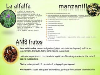  La alfalfa se usa para las
  enfermedades renales, las                  La manzanilla es probablemente eficaz para...
  enfermedades de la vejiga y de la
  próstata y para aumentar el flujo de          Bajar el colesterol en las personas con colesterol alto. El consumir semillas de alfalfa
                                                 parece disminuir el colesterol total y el colesterol “malo” - las lipoproteínas de baja
  orina. Se usa también para el                  densidad (LDL) - en las personas con niveles altos de colesterol.
  colesterol alto, el asma, la
  osteoartritis, la artritis reumática, la      Insuficiente evidencia para hacer una determinación para...
  diabetes, el malestar estomacal y un          Los problemas renales.
  trastorno de sangrado llamado                 Los problemas de la vejiga.
  trombocitopenia púrpura. La gente
  también toma alfalfa como una                 Los problemas de la próstata.
  fuente de vitaminas A, C, E y K4 y de         El asma.
  minerales como                                La artritis.
  calcio, potasio, hierro y fósforo.            La diabetes.
                                                El malestar estomacal.
                                                Otras afecciones.
                                                n té, teniendo un agradable sabor y se puede beber de tres a cuatro veces al día entre
                                                 las comidas.
                                                Afecciones hepáticas




       Usos tradicionales: trastornos digestivos (cólicos y acumulación de gases); resfríos, tos
       seca, faringitis, bronquitis, fiebre; leche materna escasa; hipo.

       La infusión se prepara con 1 cucharada de vegetal para 1litro de agua recién hervida: beber 1
       taza 2 a 3 veces al día.

       Efectos: antiespasmódico1, carminativo2, colagogo3, galactógeno4.

       Precauciones: a dosis altas puede resultar tóxico, por lo que debe utilizarse con moderación.
 