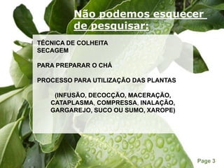 Não podemos esquecer de pesquisar:TÉCNICA DE COLHEITASECAGEMPARA PREPARAR O CHÁPROCESSO PARA UTILIZAÇÃO DAS PLANTAS(INFUSÃO, DECOCÇÃO, MACERAÇÃO, CATAPLASMA, COMPRESSA, INALAÇÃO, GARGAREJO,SUCO OU SUMO, XAROPE)
