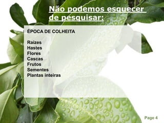 Não podemos esquecer de pesquisar:ÉPOCA DE COLHEITARaízesHastesFloresCascasFrutosSementesPlantas inteiras 