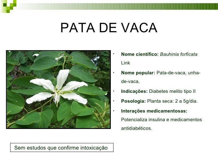 Plantas Medicinais