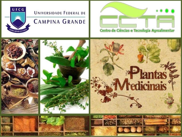 Equipe:
Bruno Anacleto
Rafael Guimarães
Wellinghton Guedes
 