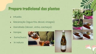 ● Infusão;
● Maceração (água fria, álcool, vinagre);
● Garrafada (álcool , vinho, cachaça);
● Xarope;
● Sumo/suco;
● In natura
Preparo tradicional das plantas
 