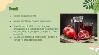 ● Nome popular: romã
● Nome científico: Punica granatum
● Benefícios: diurético, vermífugo e
antisséptico. É indicada nas inflamações
de garganta e gengiva (xarope e a fruta
in natura);
● Cólicas e diarreia intestinal (suco), e
tênia (o chá da casca).
Romã
 