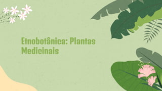 Etnobotânica: Plantas
Medicinais
 