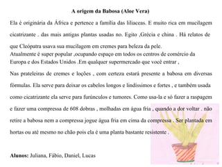 A origem da Babosa (Aloe Vera)  Ela é originária da África e pertence a família das liliaceas. E muito rica em mucilagem cicatrizante . das mais antigas plantas usadas no. Egito ,Grécia e china . Há relatos de  que Cleópatra usava sua mucilagem em cremes para beleza da pele. Atualmente é super popular ,ocupando espaço em todos os centros de comércio da Europa e dos Estados Unidos .Em qualquer supermercado que você entrar , Nas prateleiras de cremes e loções , com certeza estará presente a babosa em diversas fórmulas. Ela serve para deixar os cabelos longos e lindíssimos e fortes , e também usada  como cicatrizante ela serve para furúnculos e tumores. Como usa-la e só fazer a raspagem e fazer uma compressa de 608 dobras , molhadas em água fria , quando a dor voltar . não retire a babosa nem a compressa jogue água fria em cima da compressa . Ser plantada em hortas ou até mesmo no chão pois ela é uma planta bastante resistente .  Alunos:   Juliana, Fábio, Daniel, Lucas 