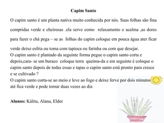 Capim Santo O capim santo è um planta nativa muito conhecida por nòs. Suas folhas são fina compridas verde e cheirosas .ela serve como  relaxamento e acalma ,as dores para fazer o chá pega – se as  folhas do capim coloque em pouca água ater ficar verde deixe esfria ou toma com tapioca ou farinha ou com que desejar.  O capim santo é plantado da seguinte forma pegue o capim santo corta e depois,cara- se um buraco  coloque terra  queima-da e em seguinte é coloque o capim santo depois de todas essas e tapas o capim santo está pronto para cresce e se cultivado ?  O capim santo corta-se ao meio e leve ao fogo e deixe ferve por dois minutos até fica verde e pode tomar duas vezes ao dia Alunos:  Kálita, Alana, Elder 