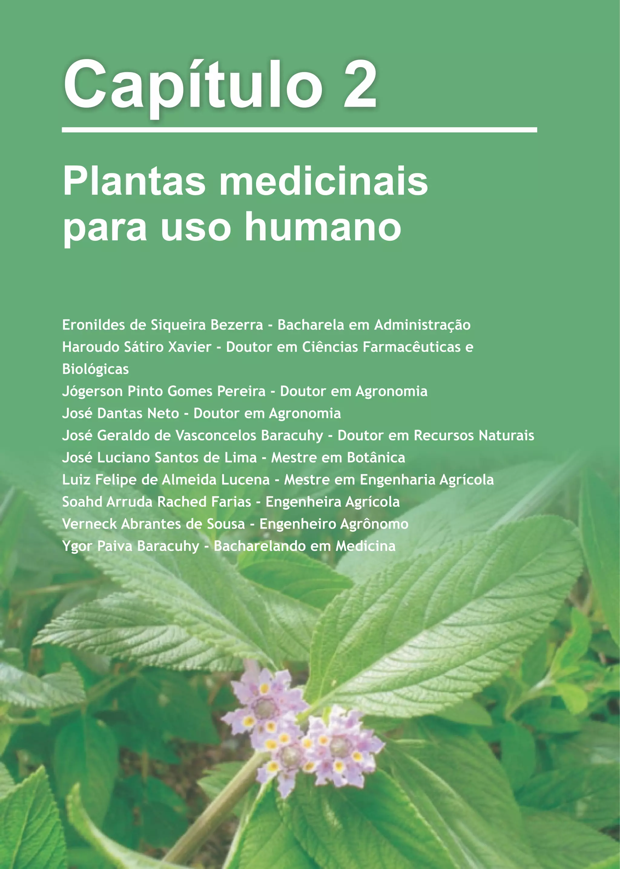 Plantas medicinais de uso comum no nordeste do brasil | PDF