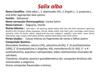 Salix alba
 