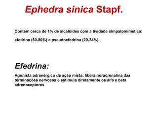 Efedrina, como a epinefrina, relaxam o músculo bronquial por
estimulação adrenérgica. O relaxamento bronquial com efedrina...