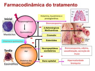 Farmacodinâmica do tratamento
Histamina, leucotrienos e
prostaglandinas
Citocinas e quimiocinas
Broncoespasmo
Leucotrienos...