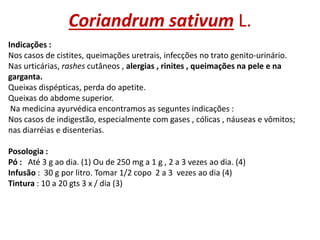 Coriandrum sativum L.
Indicações :
Nos casos de cistites, queimações uretrais, infecções no trato genito-urinário.
Nas urt...