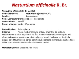 Nasturtium officinalle R. Br.
Nasturtium officinalle R. Br. (Agrião)
Nome Científico : Nasturtium officinalle R. Br.
Famíl...