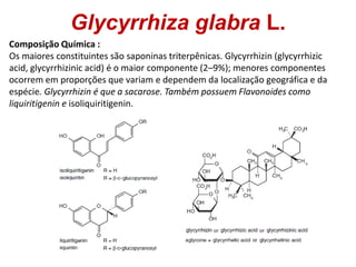 Glycyrrhiza glabra L.
Composição Química :
Os maiores constituintes são saponinas triterpênicas. Glycyrrhizin (glycyrrhizi...