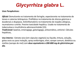 Glycyrrhiza glabra L.
Usos Terapêuticos:
Oficial: Demulcente no tratamento de faringite, expectorante no tratamento de
tos...