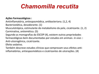Chamomilla recutita
Ações Farmacológicas :
Antiinflamatória, antiespasmódica, antibacteriana. (1,2, 4)
Bacteriostática, de...