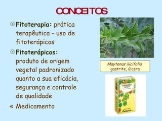 CONCEITOS Fitoterapia:  prática terapêutica – uso de fitoterápicos Fitoterápicos:  produto de origem vegetal padronizado quanto a sua eficácia, segurança e controle de qualidade Medicamento Maytenus ilicifolia  gastrite, úlcera   