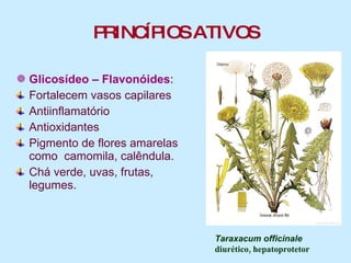 PRINCÍPIOS ATIVOS Glicosídeo – Flavonóides :  Fortalecem vasos capilares Antiinflamatório Antioxidantes Pigmento de flores amarelas como  camomila, calêndula. Chá verde, uvas, frutas, legumes. Taraxacum officinale   diurético, hepatoprotetor 